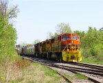 QGRY 4019